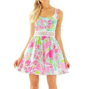 Lily pulitzer fit and flare dress